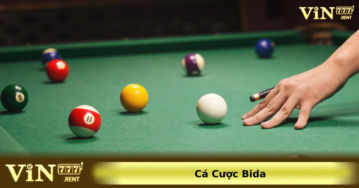 Cá Cược Bida – Trò Chơi Đam Mê Và Cơ Hội Thắng Lớn 2 Cách chơi và luật cược bida online chi tiết nhất