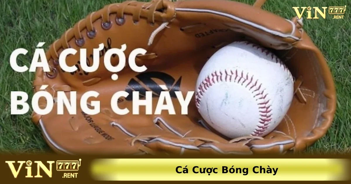 Cá Cược Bóng Chày: Hướng Dẫn Toàn Diện Và Cập Nhật Mới Nhất 2 Các dạng cá cược phổ biến nhất trong bóng chày